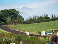 PH020922-55 - 3rd Lot on the gallops